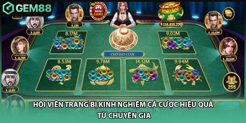 Hội viên trang bị kinh nghiệm cá cược hiệu quả từ chuyên gia